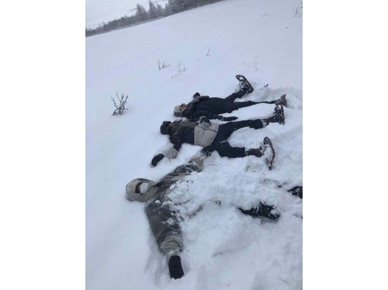 【홋카이도 후라노】 후라노 스노우 슈 하이킹 투어 투어の紹介画像