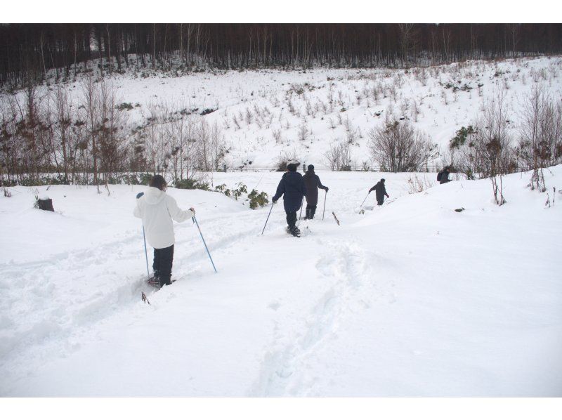 【홋카이도 후라노】 후라노 스노우 슈 하이킹 투어 투어の紹介画像