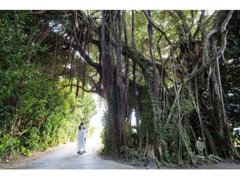 【沖縄・本部】本を作るフォトツアー ｜フクギ並木で旅の一節、あなたの物語をフォトブックにするフォトツアー【備瀬／貸切・写真データ 】の紹介画像