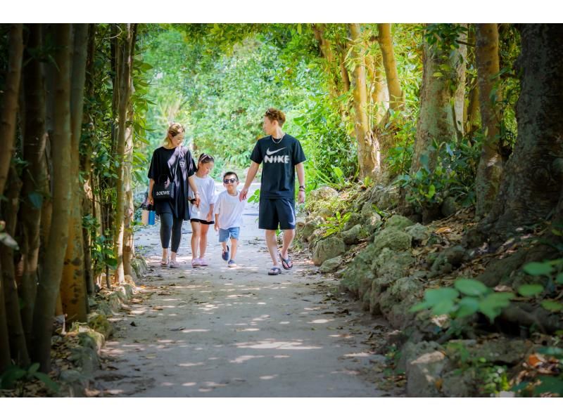 【沖縄・本部】本を作るフォトツアー ｜フクギ並木で旅の一節、あなたの物語をフォトブックにするフォトツアー【備瀬／貸切・写真データ 】の紹介画像