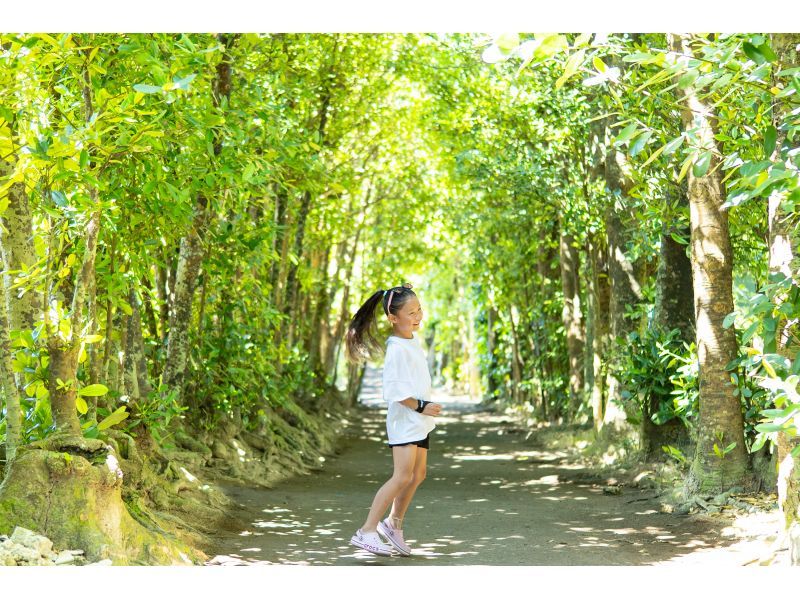 【沖縄・本部】本を作るフォトツアー ｜フクギ並木で旅の一節、あなたの物語をフォトブックにするフォトツアー【備瀬／貸切・写真データ 】の紹介画像