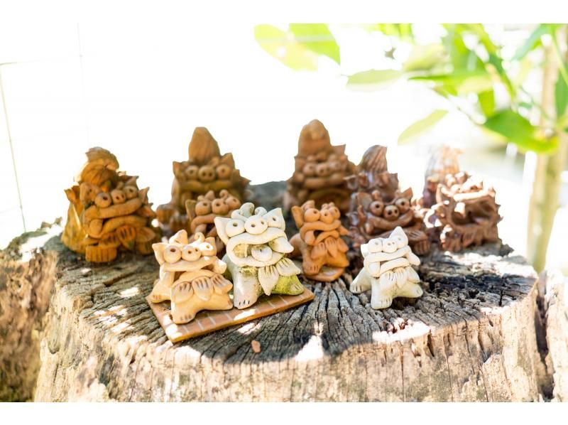 【沖縄・本部】本を作るフォトツアー ｜フクギ並木で旅の一節、あなたの物語をフォトブックにするフォトツアー【備瀬／貸切・写真データ 】の紹介画像