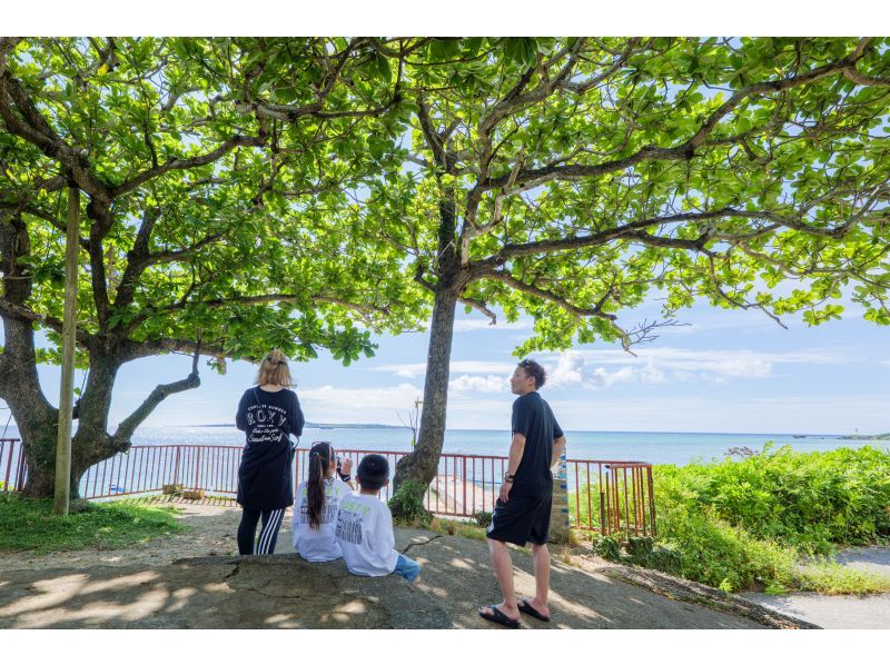 【沖縄・本部】本を作るフォトツアー ｜フクギ並木で旅の一節、あなたの物語をフォトブックにするフォトツアー【備瀬／貸切・写真データ 】の紹介画像