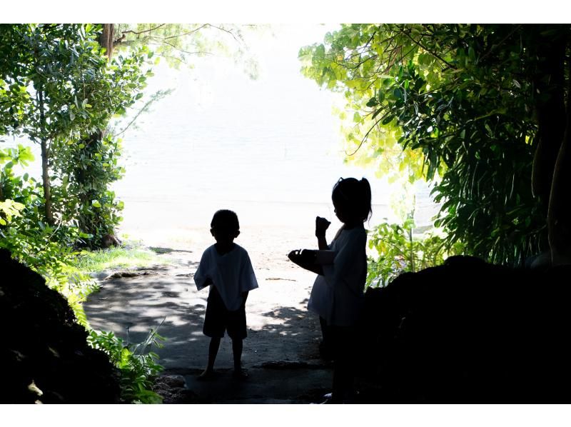 【沖縄・本部】本を作るフォトツアー ｜フクギ並木で旅の一節、あなたの物語をフォトブックにするフォトツアー【備瀬／貸切・写真データ 】の紹介画像