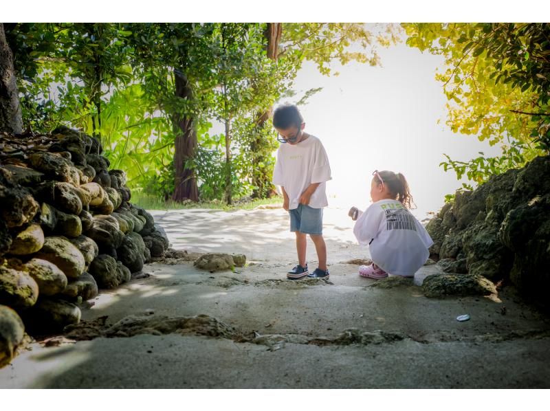 【沖縄・本部】本を作るフォトツアー ｜フクギ並木で旅の一節、あなたの物語をフォトブックにするフォトツアー【備瀬／貸切・写真データ 】の紹介画像