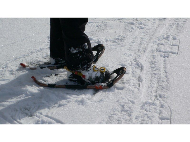 【群馬・みなかみ・スノーシュー】手軽に楽しめる雪上ハイキング！（半日）の紹介画像