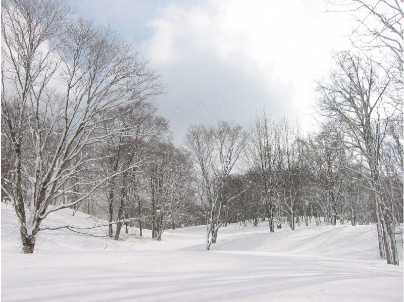 【群馬・みなかみ・スノーシュー】手軽に楽しめる雪上ハイキング！（半日）の紹介画像