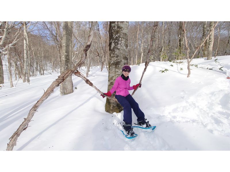 【群馬・みなかみ・スノーシュー】手軽に楽しめる雪上ハイキング！（半日）の紹介画像