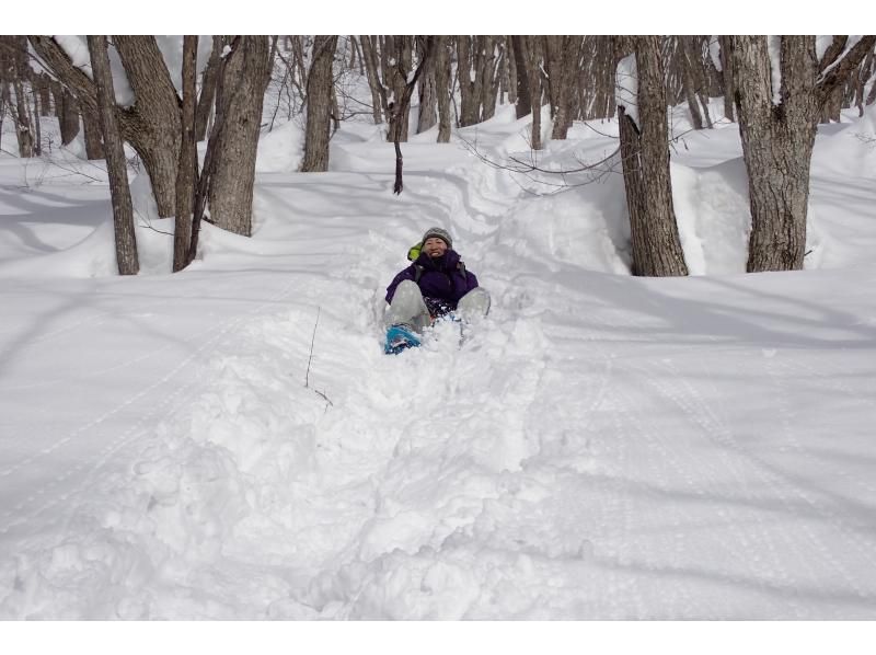 【群馬・みなかみ・スノーシュー】手軽に楽しめる雪上ハイキング！（半日）の紹介画像
