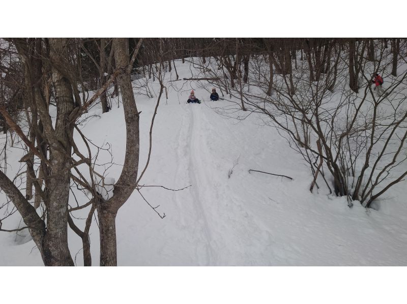 【群馬・みなかみ・スノーシュー】手軽に楽しめる雪上ハイキング！（半日）の紹介画像