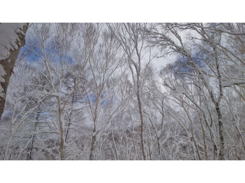 【群馬・みなかみ・スノーシュー】手軽に楽しめる雪上ハイキング！（半日）の紹介画像
