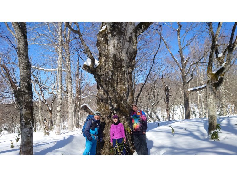【群馬・みなかみ・スノーシュー】手軽に楽しめる雪上ハイキング！（半日）の紹介画像