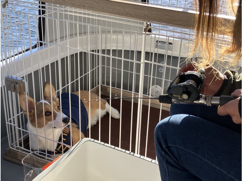 [Yamanashi Prefecture, Lake Kawaguchi, Smelt fishing] A 1 hour 30 minute smelt fishing plan to enjoy with your dog!の紹介画像