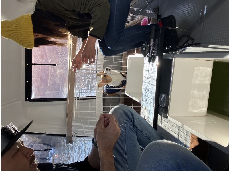 [Yamanashi Prefecture, Lake Kawaguchi, Smelt fishing] A 1 hour 30 minute smelt fishing plan to enjoy with your dog!の紹介画像