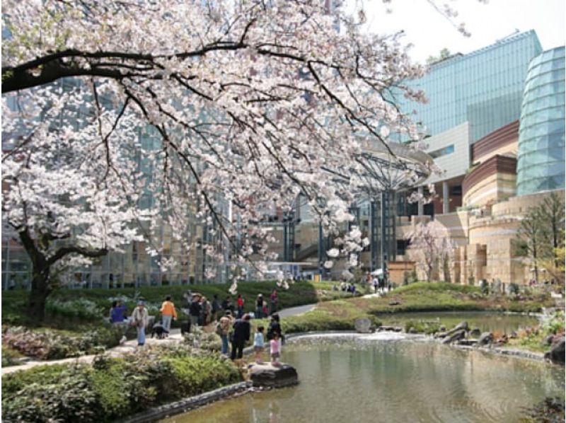 桜のトンネルとしだれ桜の庭園＆怒涛の桜8景と新名所お買い物バスツアー　～まい泉のカツサンド付～【029029-1095】の紹介画像