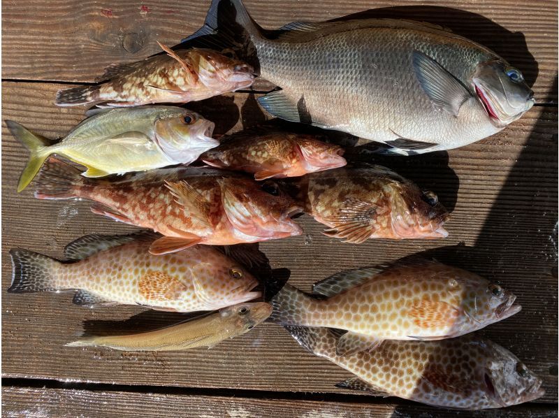 【釣りインストラクター付き】手ぶらでOK ガシラ釣り体験（釣った魚も食べれる！）の紹介画像