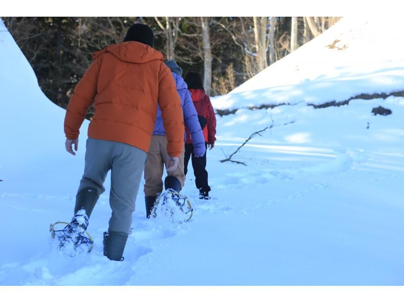 [Experience] Rice Terrace Snowshoe Walk & Tea Time on the Snowの紹介画像