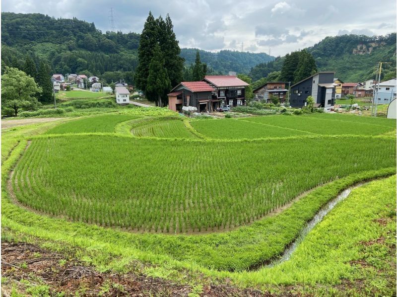 【新潟・十日町】十日町棚田トレッキング　集落を巡る歴史コースの紹介画像