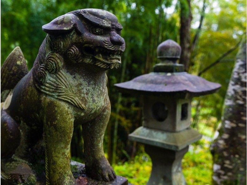 【新潟・十日町】十日町棚田トレッキング　集落を巡る歴史コースの紹介画像