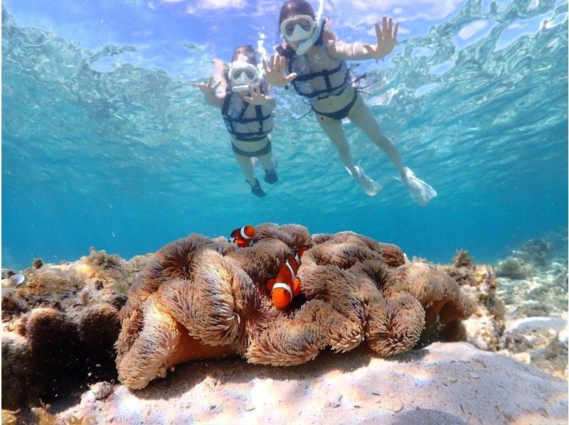 [Okinawa, Miyakojima] Affordable Plan | Snorkeling & SUP Set Plan ★の紹介画像