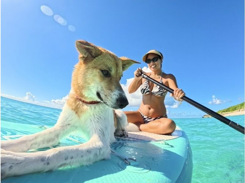 [Okinawa, Miyakojima] Affordable Plan | Snorkeling & SUP Set Plan ★の紹介画像