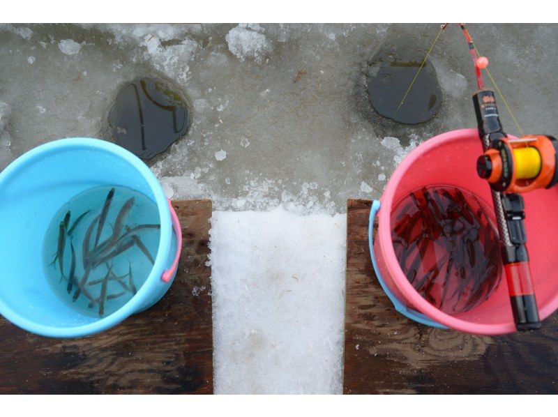 【札幌附近】帳篷和釣具租賃，免費自助式胡瓜魚釣魚計劃の紹介画像