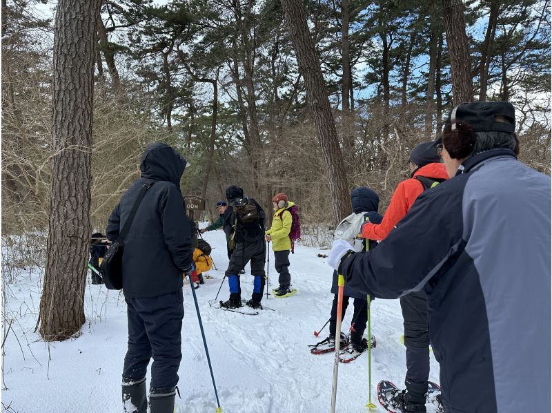 【아키타·노시로】일본 최대급의 소나무 숲 “바람의 마츠바라”로 간지키·스노슈 체험~안내 가이드와 함께 워킹<2월 11일 개최>の紹介画像