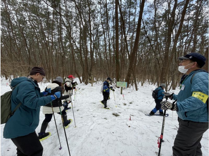 [อากิตะ, โนชิโร] ประสบการณ์เดินป่าด้วยรองเท้าลุยหิมะในป่าสนที่ใหญ่ที่สุดของญี่ปุ่น "ป่าสนลม" - เดินป่าพร้อมไกด์ (จัดขึ้นเมื่อวันที่ 11 กุมภาพันธ์)の紹介画像