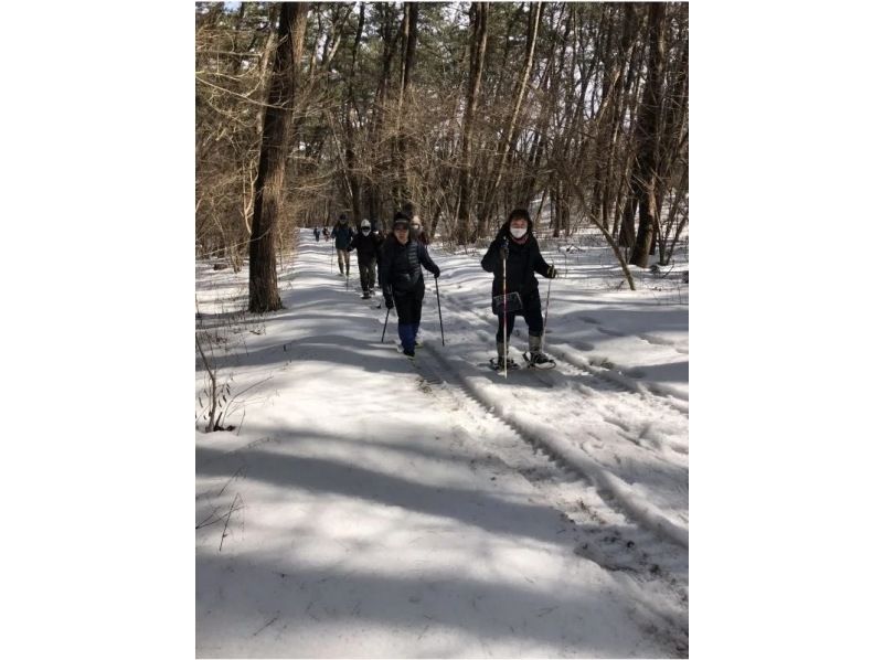 【아키타·노시로】일본 최대급의 소나무 숲 “바람의 마츠바라”로 간지키·스노슈 체험~안내 가이드와 함께 워킹<2월 11일 개최>の紹介画像