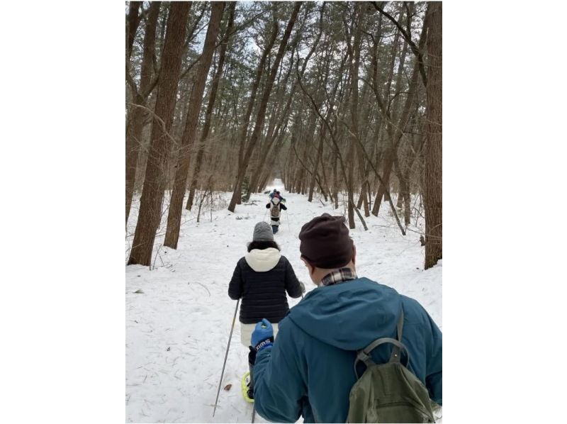 [อากิตะ, โนชิโร] ประสบการณ์เดินป่าด้วยรองเท้าลุยหิมะในป่าสนที่ใหญ่ที่สุดของญี่ปุ่น "ป่าสนลม" - เดินป่าพร้อมไกด์ (จัดขึ้นเมื่อวันที่ 11 กุมภาพันธ์)の紹介画像