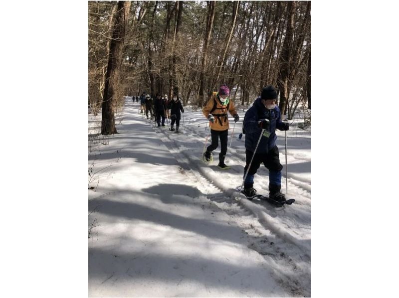 [อากิตะ, โนชิโร] ประสบการณ์เดินป่าด้วยรองเท้าลุยหิมะในป่าสนที่ใหญ่ที่สุดของญี่ปุ่น "ป่าสนลม" - เดินป่าพร้อมไกด์ (จัดขึ้นเมื่อวันที่ 11 กุมภาพันธ์)の紹介画像