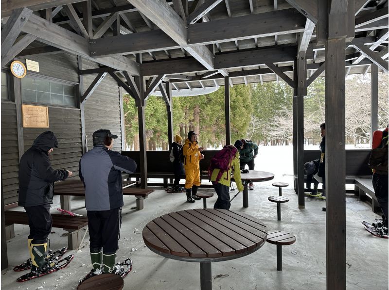 [อากิตะ, โนชิโร] ประสบการณ์เดินป่าด้วยรองเท้าลุยหิมะในป่าสนที่ใหญ่ที่สุดของญี่ปุ่น "ป่าสนลม" - เดินป่าพร้อมไกด์ (จัดขึ้นเมื่อวันที่ 11 กุมภาพันธ์)の紹介画像