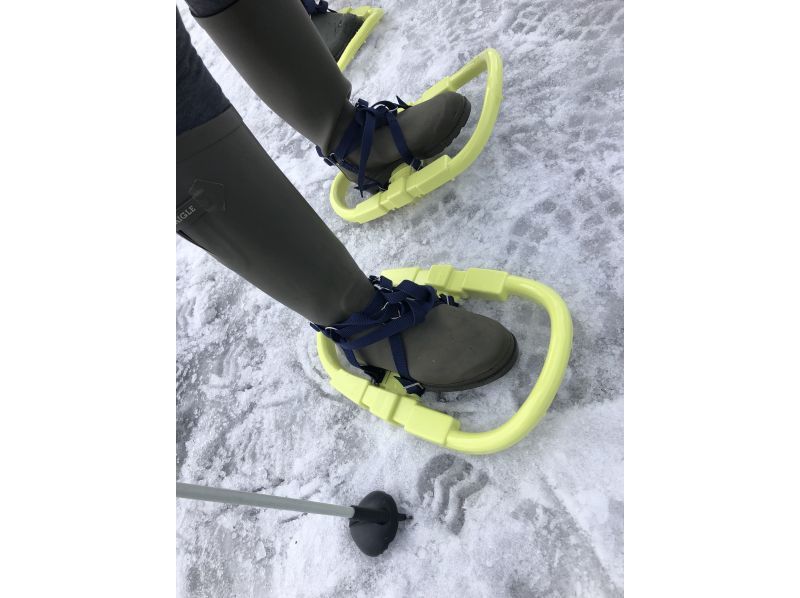 [อากิตะ, โนชิโร] ประสบการณ์เดินป่าด้วยรองเท้าลุยหิมะในป่าสนที่ใหญ่ที่สุดของญี่ปุ่น "ป่าสนลม" - เดินป่าพร้อมไกด์ (จัดขึ้นเมื่อวันที่ 11 กุมภาพันธ์)の紹介画像