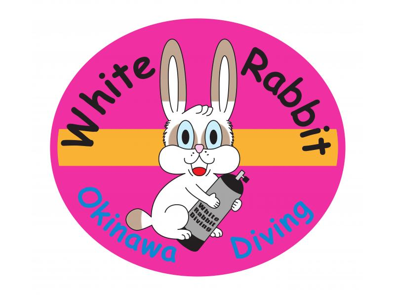 体験ダイビング【沖縄本島・青の洞窟等】♡ 初心者・お一人様・グループ（日本語・English）の紹介画像