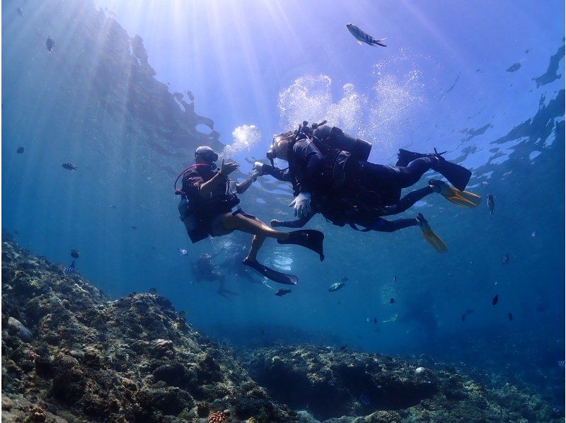 体験ダイビング【沖縄本島・青の洞窟等】♡ 初心者・お一人様・グループ（日本語・English）の紹介画像