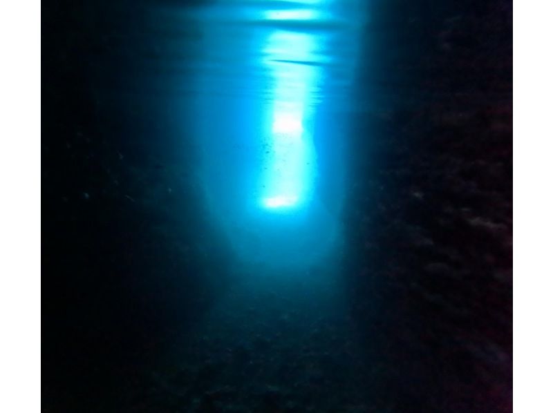 体験ダイビング【沖縄本島・青の洞窟等】♡ 初心者・お一人様・グループ（日本語・English）の紹介画像