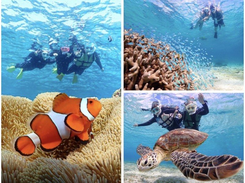 宮古島／送迎可能【1組限定/1歳からOK】ベビーシッター同行！完全貸切でプライベートウミガメシュノーケリング！｜高画質写真データ増量！の紹介画像