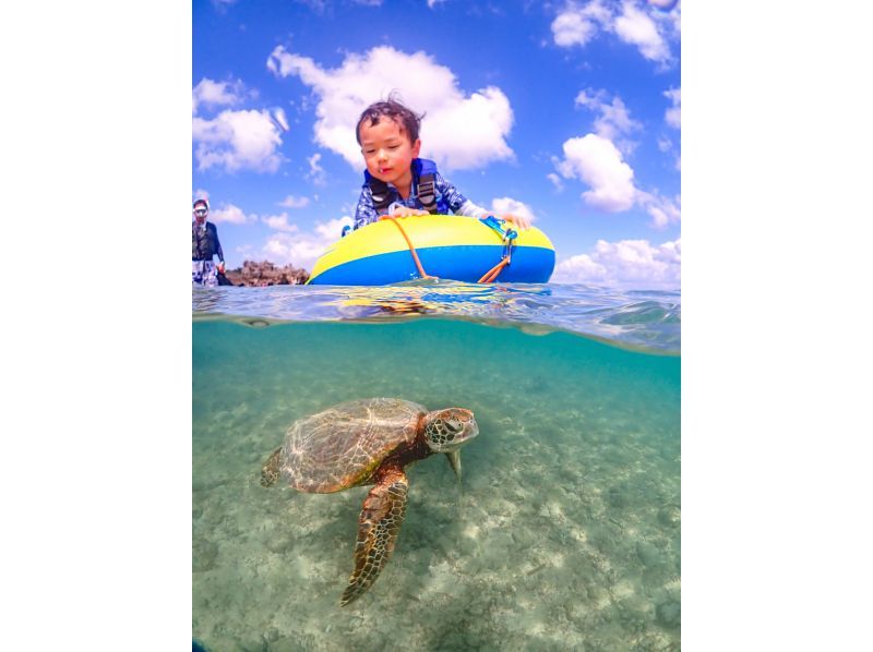 Miyakojima [Limited to one group / Ages 1 and up] Babysitter included! Private snorkeling with sea turtles! | Increased high-resolution photo data!の紹介画像