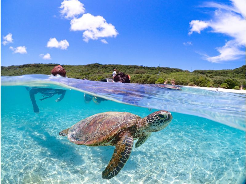 Miyakojima [Limited to one group / Ages 1 and up] Babysitter included! Private snorkeling with sea turtles! | Increased high-resolution photo data!の紹介画像
