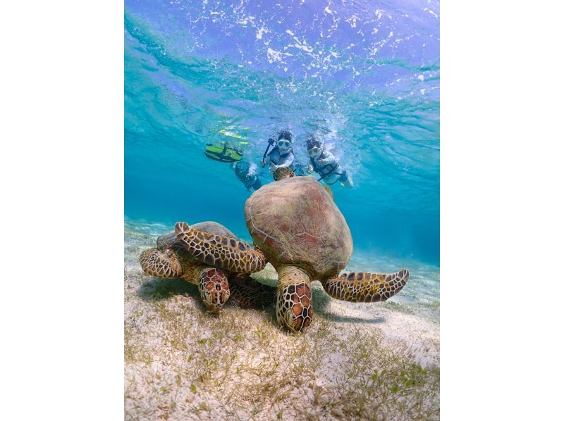 Miyakojima [Limited to one group / Ages 1 and up] Babysitter included! Private snorkeling with sea turtles! | Increased high-resolution photo data!の紹介画像