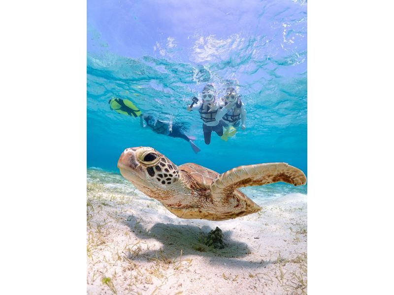 Miyakojima [Limited to one group / Ages 1 and up] Babysitter included! Private snorkeling with sea turtles! | Increased high-resolution photo data!の紹介画像