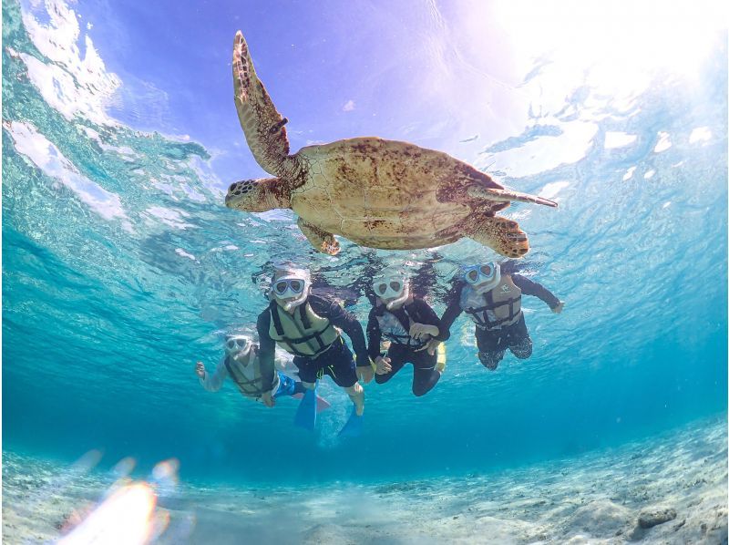 Miyakojima [Limited to one group / Ages 1 and up] Babysitter included! Private snorkeling with sea turtles! | Increased high-resolution photo data!の紹介画像