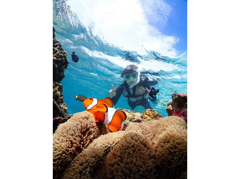 Miyakojima [Limited to one group / Ages 1 and up] Babysitter included! Private snorkeling with sea turtles! | Increased high-resolution photo data!の紹介画像