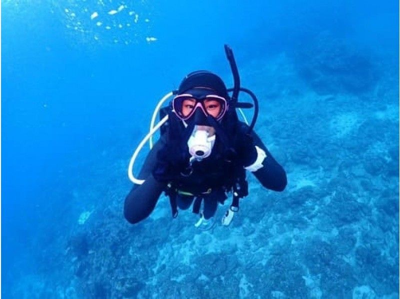 【沖縄・石垣島】初めてでも！ベテランさんも！半日ダイビングツアー！の紹介画像