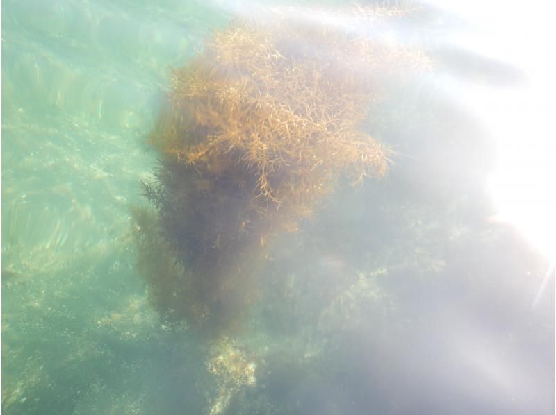 【大分縣比治町糸東濱】慶祝畢業！學生專屬2小時租賃計劃の紹介画像