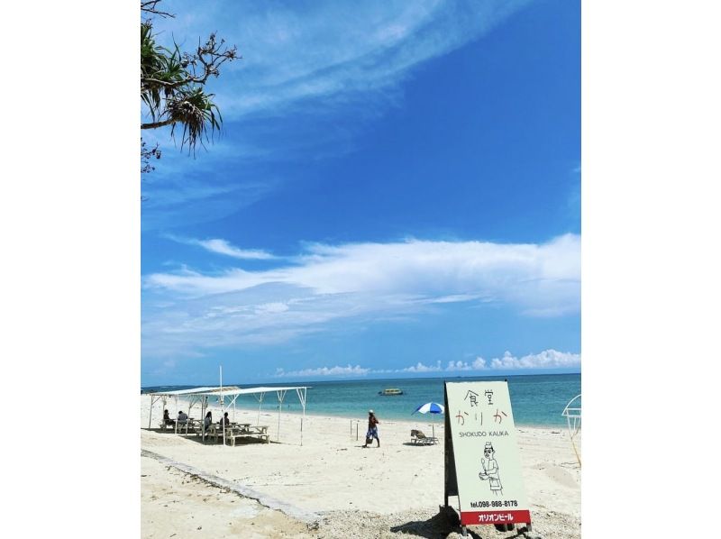 年齢制限なし☆南城市☆グラスボートで海中散策＆【食堂かりか】キーマカレー☆ウミガメ遭遇率驚異の60％！新原ビーチ沖の手つかずの自然を満喫！の紹介画像