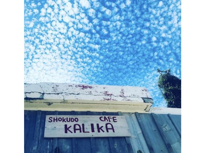 年齢制限なし☆南城市☆グラスボートで海中散策＆【食堂かりか】キーマカレー☆ウミガメ遭遇率驚異の60％！新原ビーチ沖の手つかずの自然を満喫！の紹介画像