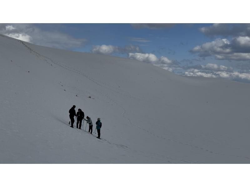 【鳥取・鳥取市】スノーシューを使って白銀の鳥取砂丘をガイドと一緒にo砂n歩（おさんぽ）しよう！の紹介画像
