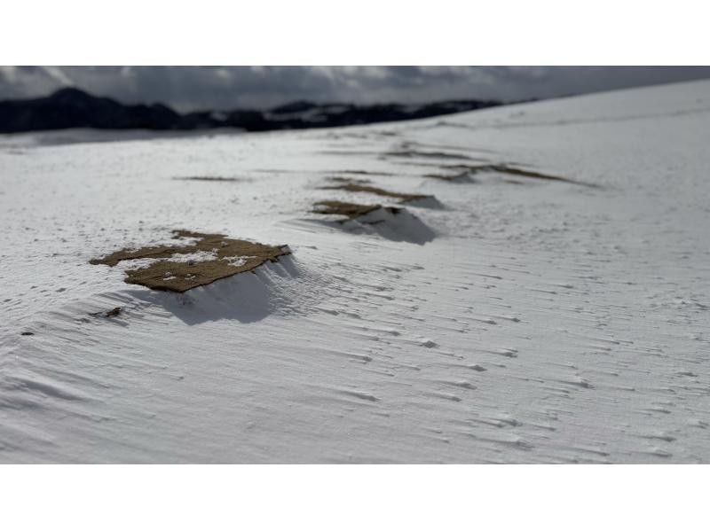 【鳥取・鳥取市】スノーシューを使って白銀の鳥取砂丘をガイドと一緒にo砂n歩（おさんぽ）しよう！の紹介画像