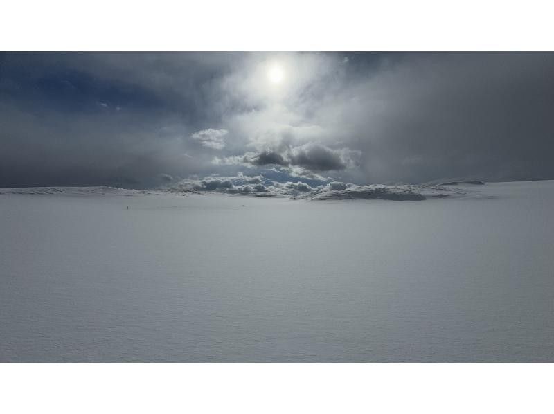 【鳥取・鳥取市】スノーシューを使って白銀の鳥取砂丘をガイドと一緒にo砂n歩（おさんぽ）しよう！の紹介画像